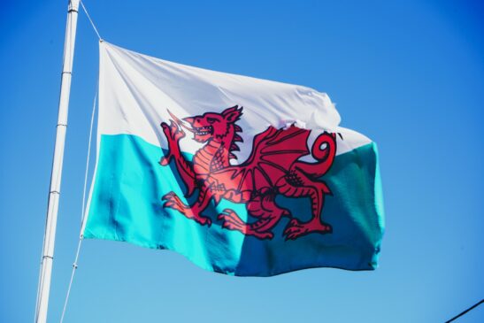 An image of a pole flying the Welsh flag